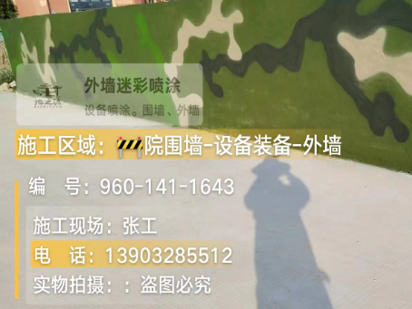 阿坝 迷彩漆喷涂价格（按平方米计费）